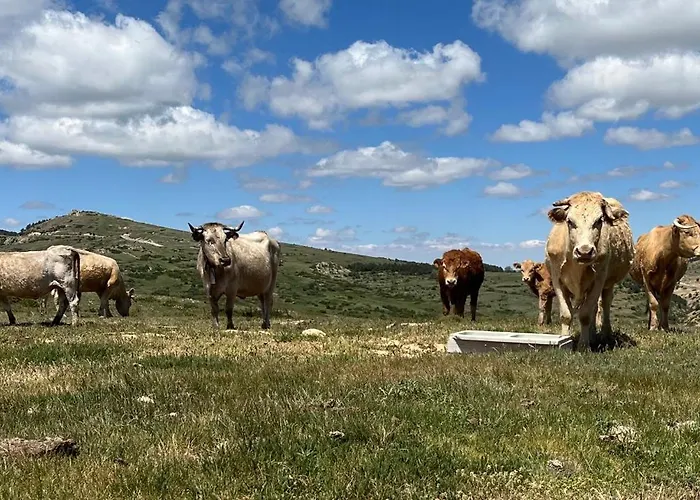 Casa Elena I Marta , Semesterbostad